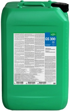 GS 300
