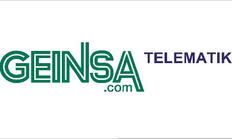 GEINSA