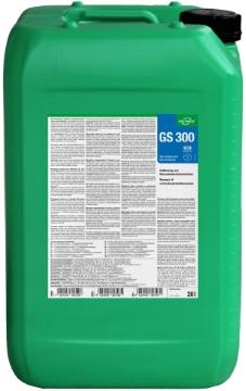 GS 300
